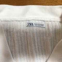 ZARA 男性セーター(ニット？)の画像