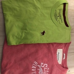 1/5(日)受け渡し可★2枚セット★オープン限定品アバクロのTシャツ