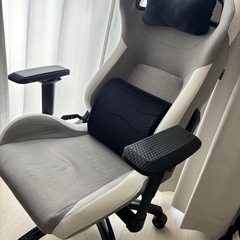 アメリカズカップVIPパスアルテミススウェーデン