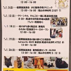 1月18日尾道で保護猫とふれあい