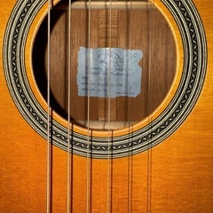 K.Yairi RAG-65V CTM ピックアップ　L.R.Baggs iBeam    アコースティックギターの画像