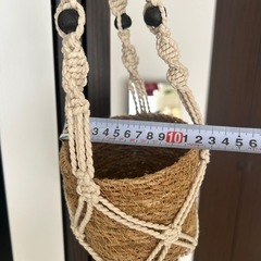 吊り下げ植木鉢の画像