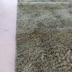 ニトリ　ラグ　グリーンの画像