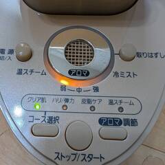 Panasonic　イオンスチーマー ナノケア　EH-SA90【...