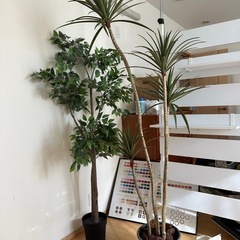 造花2点