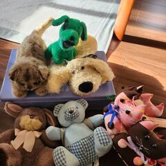 ぬいぐるみ