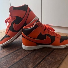 NIKE ダンクハイ　レトロ　ユニバーシティの画像