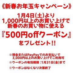新春お年玉キャンペーン 500円offクーポンプレゼント！