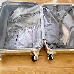 キャリーバッグの画像
