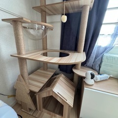 キャットタワー