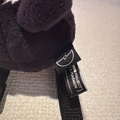 【限定品】フラグメント✖️ポケモンの画像