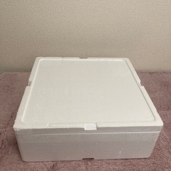 大皿と発砲スチロール箱2セットずつの画像