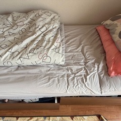 [受け渡す方が決まりました] ニトリ シングルベッド（マットレス付）の画像