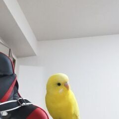 友達