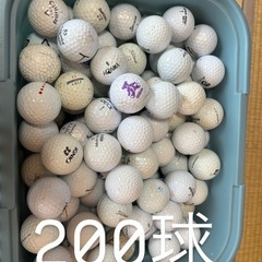 ロストボール300球+おまけ付の画像