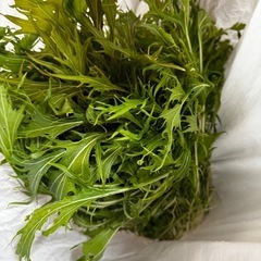 野菜
