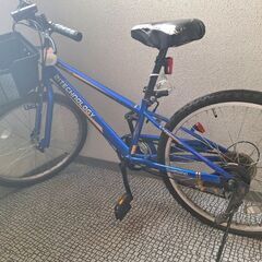 『お話し中』【1/5限定】子供用自転車