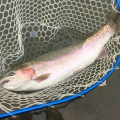 釣り友募集