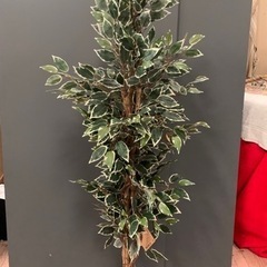 人工観葉植物  160cm