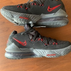 NIKE レブロン　25.5センチの画像