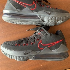 NIKE レブロン　25.5センチ