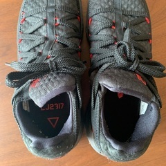 NIKE レブロン　25.5センチの画像
