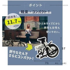 折り畳み　自転車　１６インチ　美品
の画像