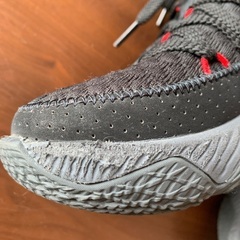 NIKE レブロン　25.5センチの画像