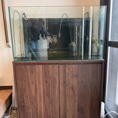 90センチ水槽の中古が安い！激安で譲ります・無料であげます