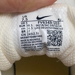 【ほぼ未使用】NIKE W PROMINA　24.5の画像