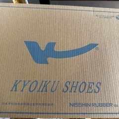 スノースニーカーの画像