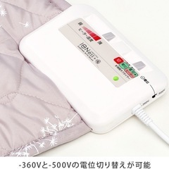 イオネスプラス 中古 美品の画像