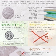 イオネスプラス 中古 美品の画像