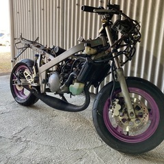 TZM50R 不動車の画像
