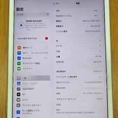 iPad mini5 64GB[Wi-Fi + Cellular]+？？の画像