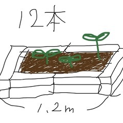 ガーデニング花壇に🌷長尺耐火レンガ12本の画像