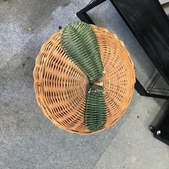 カゴ　入れ物　大きいの画像