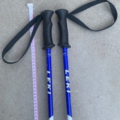 スキーポール　子ども用　80cmの画像