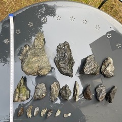 ADA 山谷石　2.5kgの画像