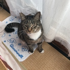 里親募集