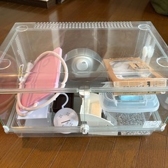 ハムスター　飼育用品