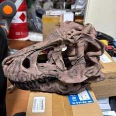 恐竜の骨硬いプラチックの画像