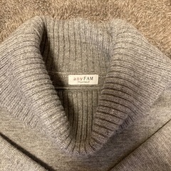 anyFAMの画像