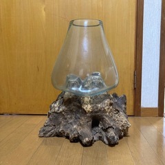 【受付終了】流木ガラスの画像