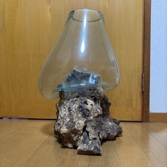 【受付終了】流木ガラスの画像