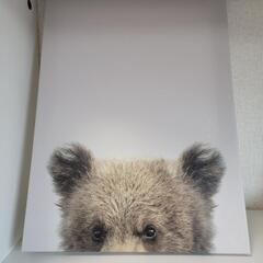 【IKEA PJÄTTERYD（ピアッテリード）キャンバスアート...