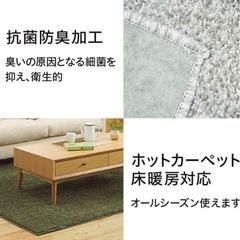 ニトリやわらかシャギーラグ3畳用　ベージュ の画像