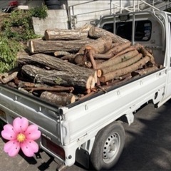 薪　原木　焚き木格安でお分けいたします。　　の画像