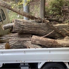 薪　原木　焚き木格安でお分けいたします。　　の画像