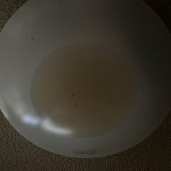 LEDライト　